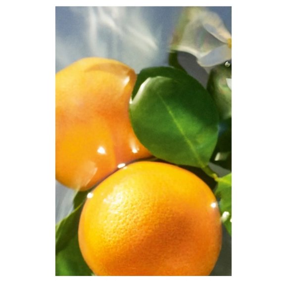 Guerlain Aqua Allegoria Mandarine Basilic EDT, BOXED - Mini 0.25 oz,7.5 ml - NEW - Picture 8 of 11